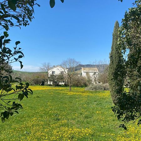 Agriturismo Colle Igino Matera Kültér fotó