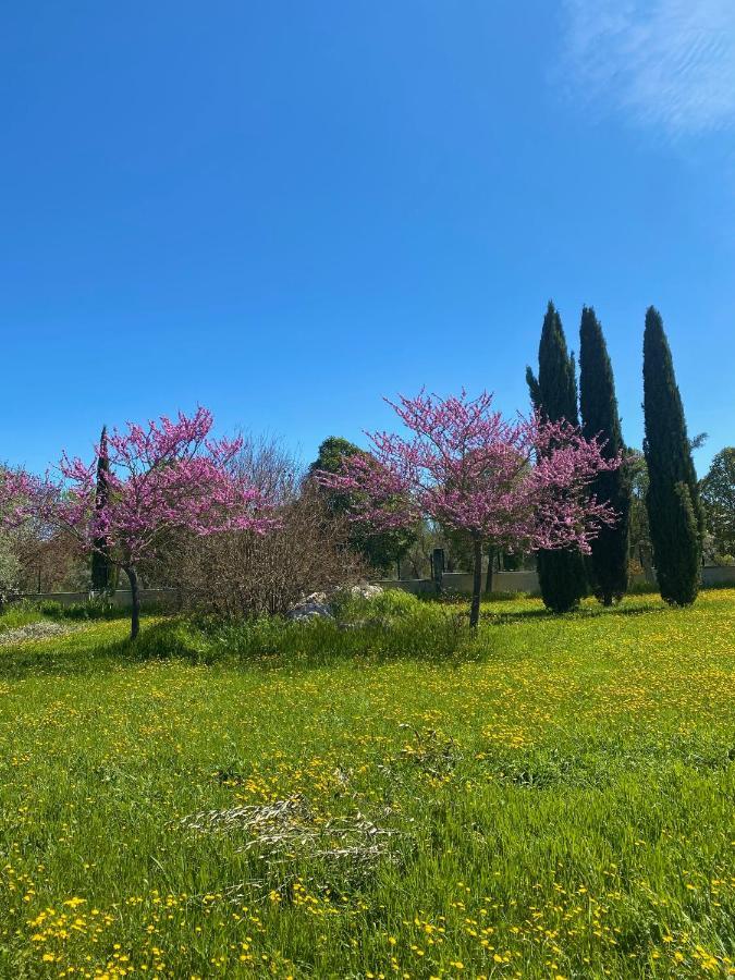 Agriturismo Colle Igino Matera Kültér fotó