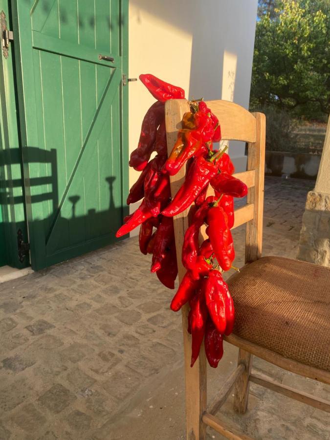 Agriturismo Colle Igino Matera Kültér fotó