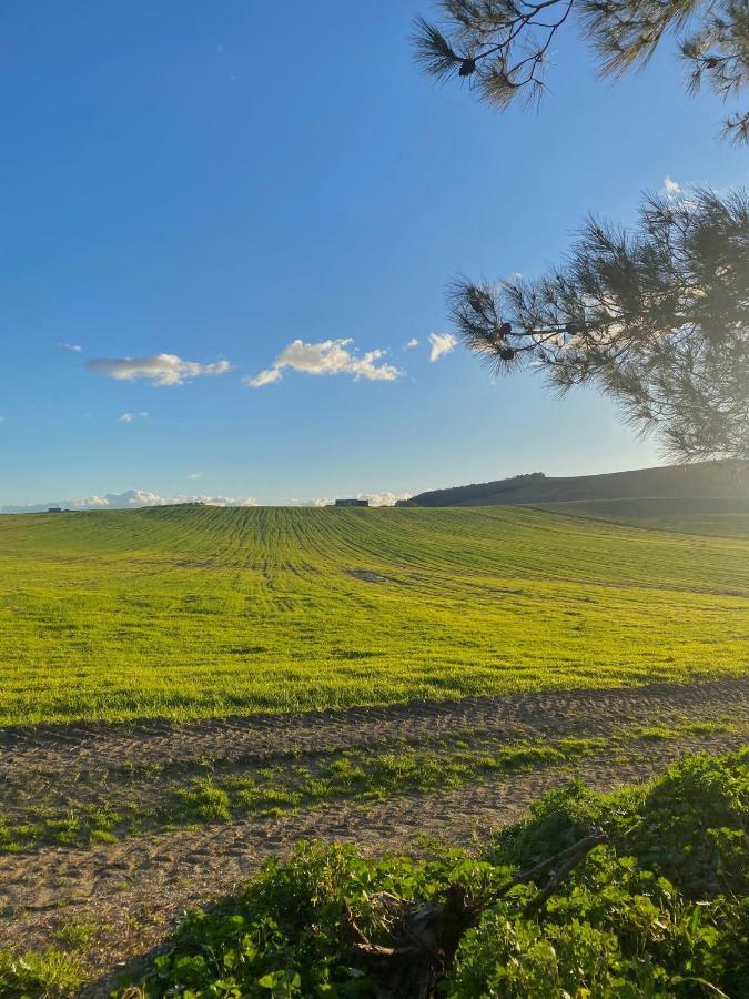Agriturismo Colle Igino Matera Kültér fotó