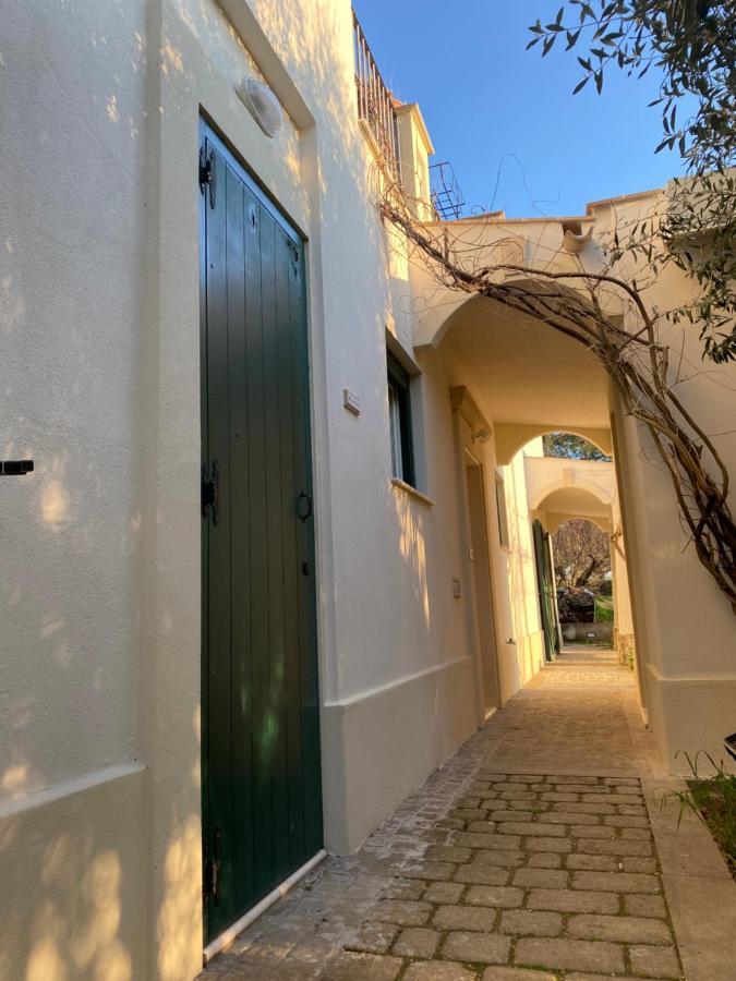 Agriturismo Colle Igino Matera Kültér fotó