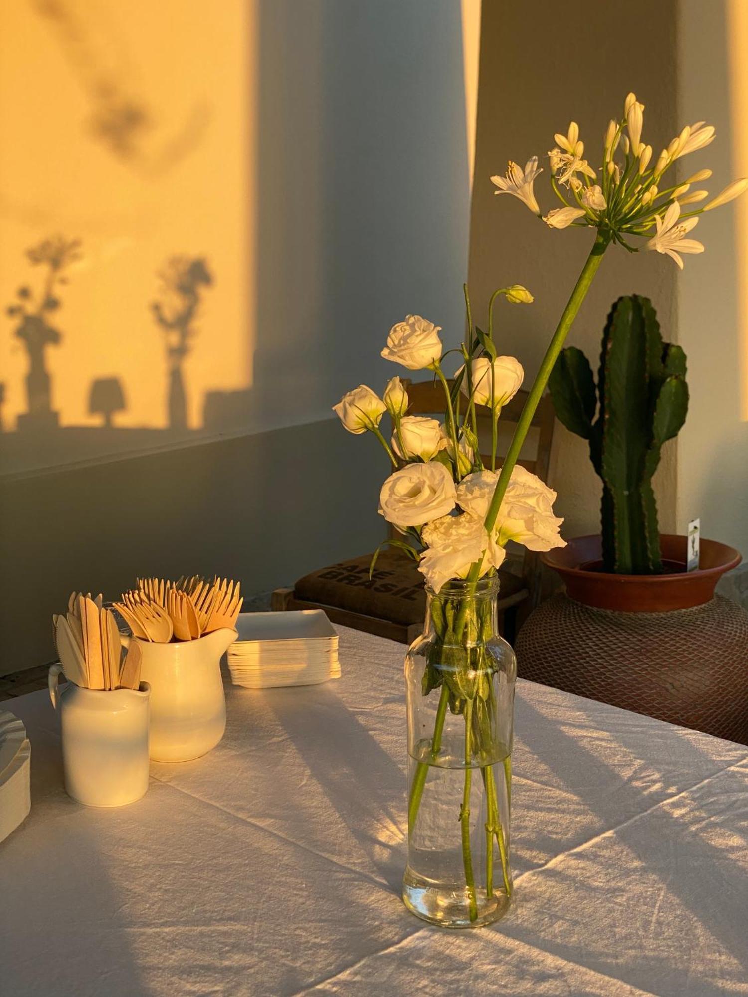 Agriturismo Colle Igino Matera Kültér fotó