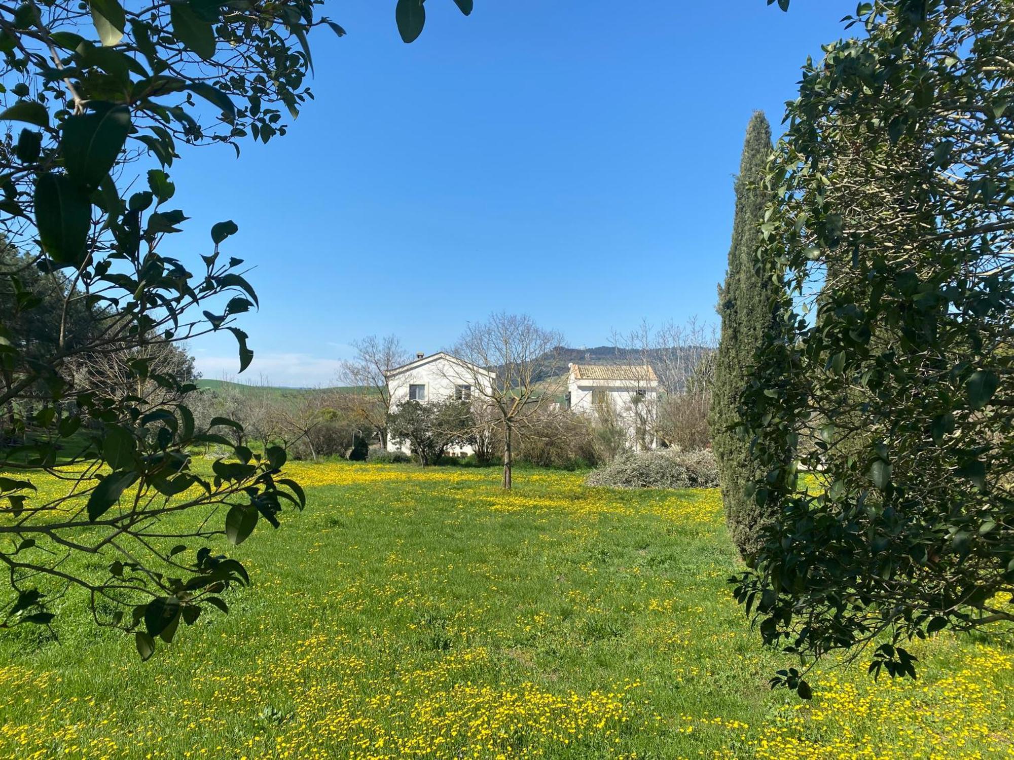 Agriturismo Colle Igino Matera Kültér fotó