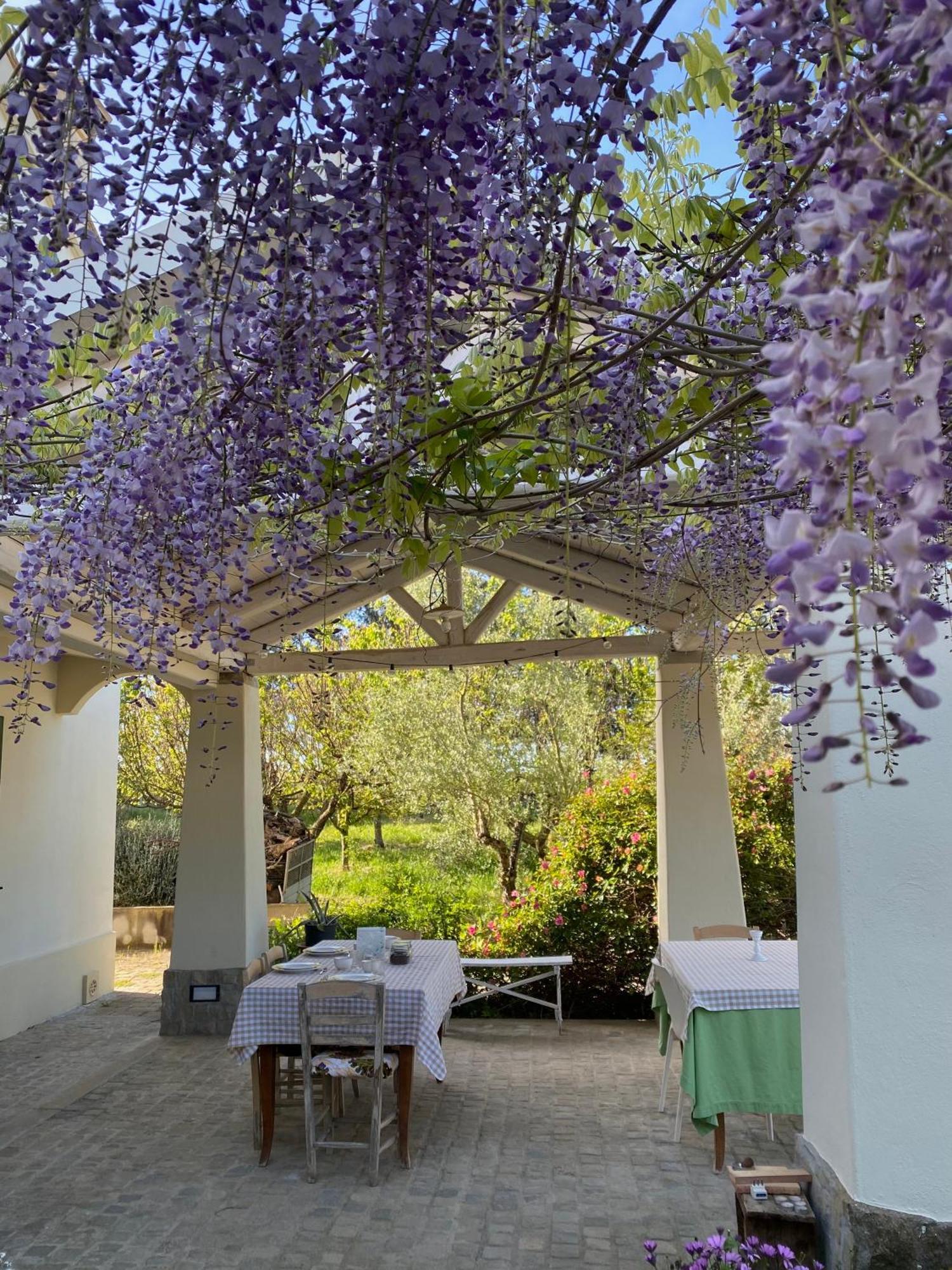 Agriturismo Colle Igino Matera Kültér fotó