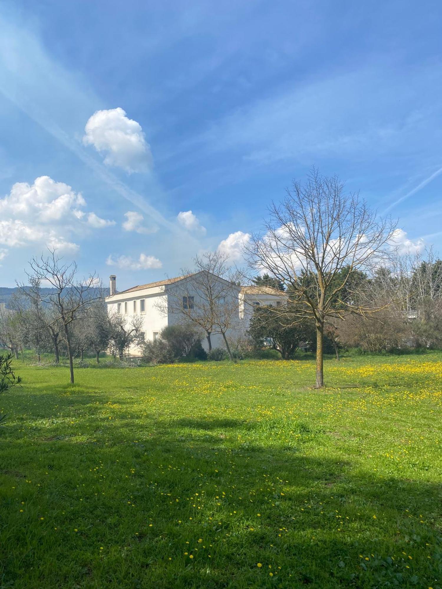 Agriturismo Colle Igino Matera Kültér fotó