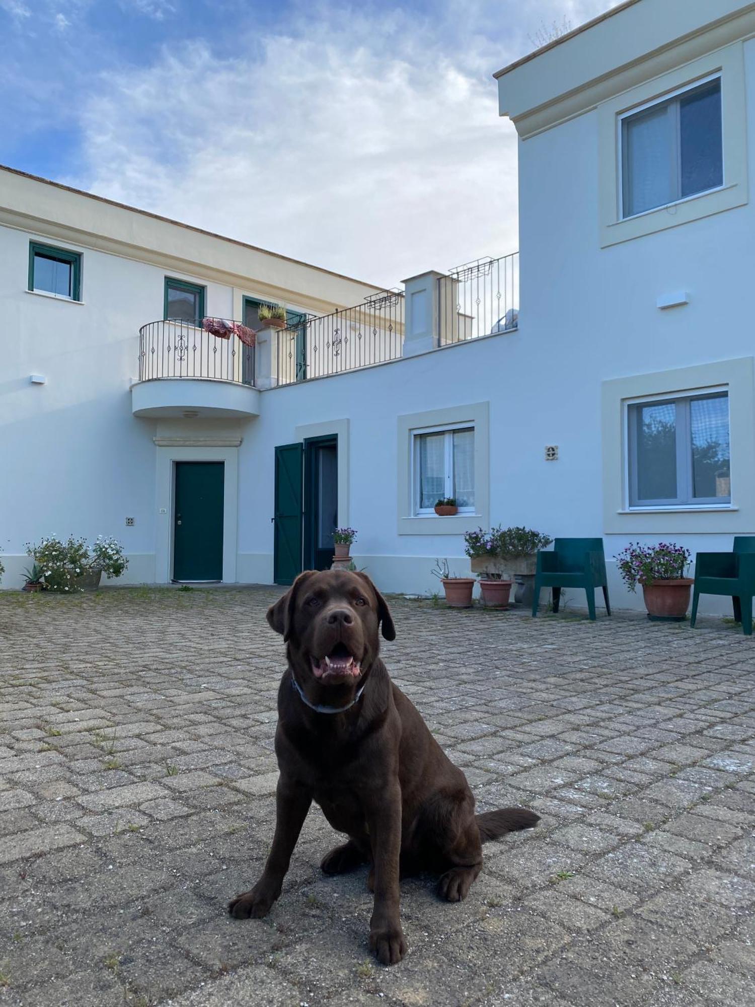Agriturismo Colle Igino Matera Kültér fotó